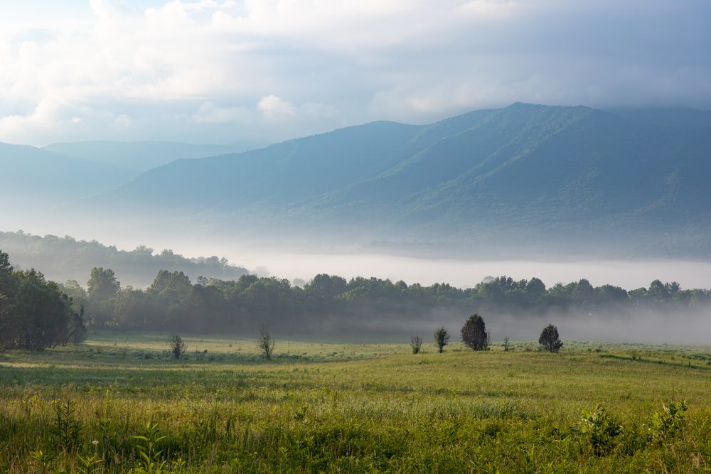 Morning fog drifting through the tree line in Cades Cove, Great Smoky Mountains, East Tennessee, at sunrise.