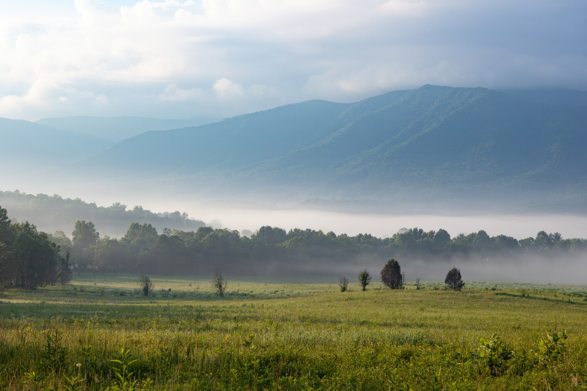 Morning fog drifting through the tree line in Cades Cove, Great Smoky Mountains, East Tennessee, at sunrise.