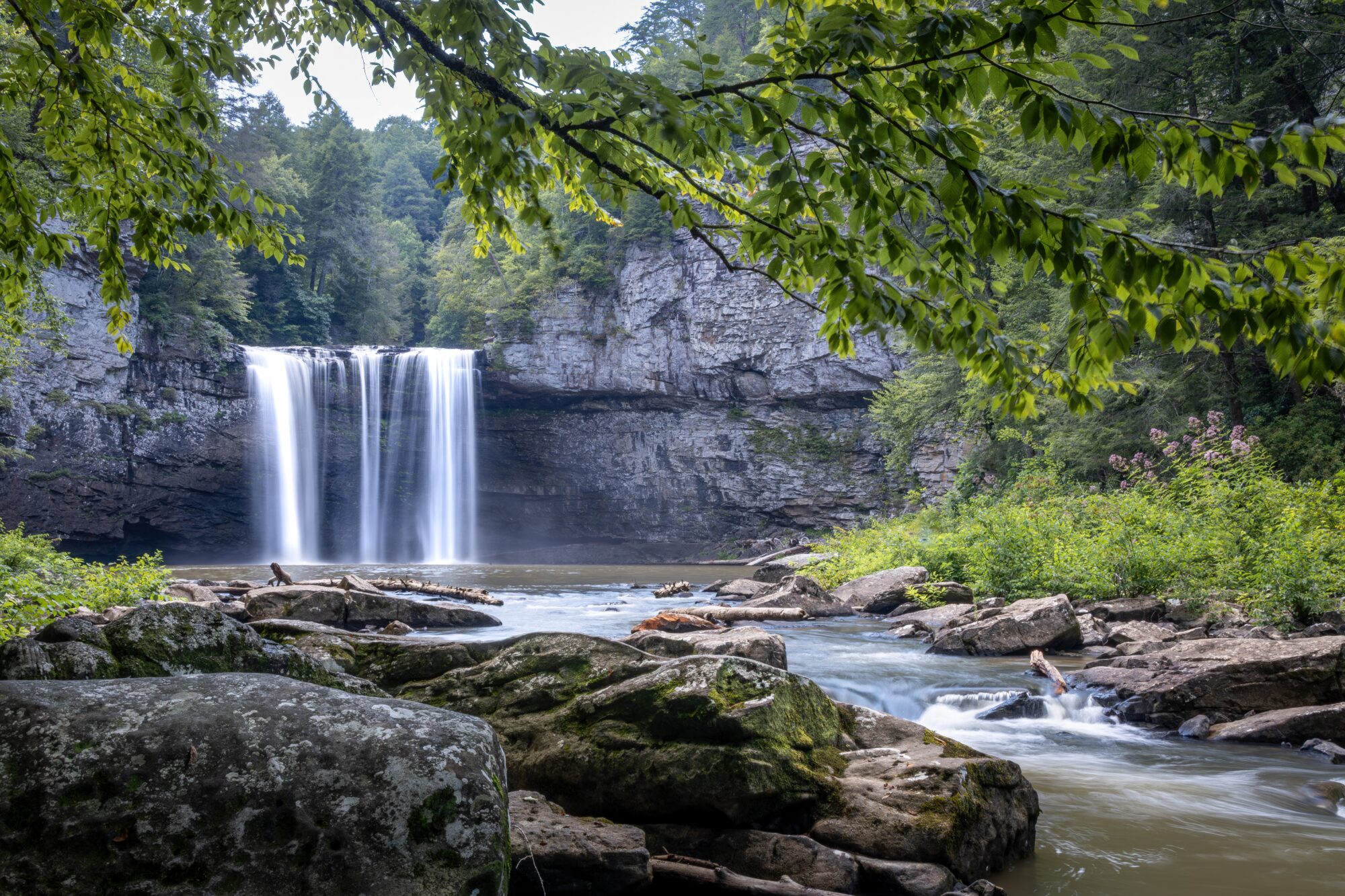 A tall twin waterfall plunges over a sandstone bluff into a pool at Cane Creek Falls, with moss-covered boulders and a rocky creek in the foreground, framed by green summer leaves, Fall Creek Falls State Park, Tennessee.