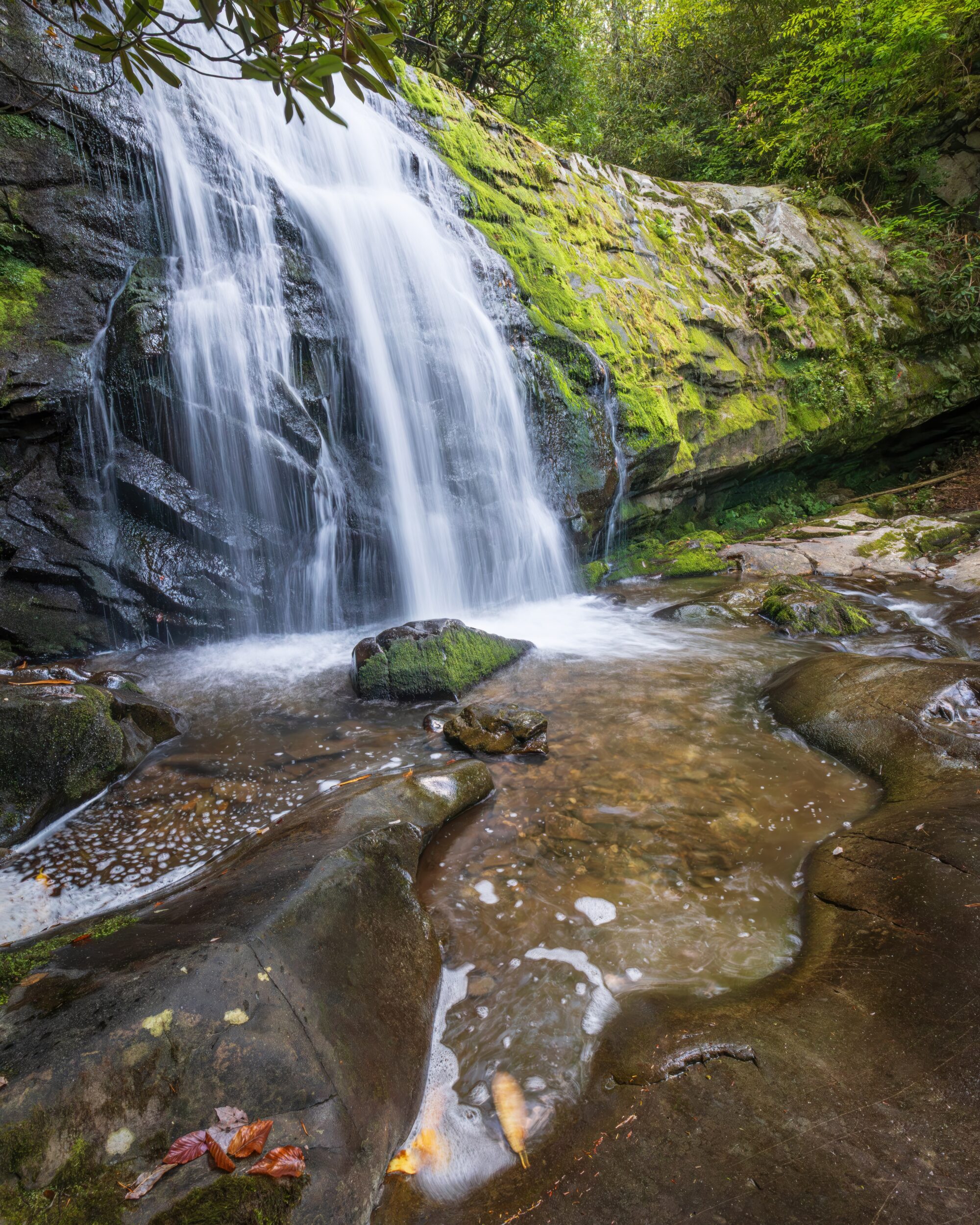 Meigs Falls flowing down a rock face framed by rhododendron into a boulder pool, Great Smoky Mountains.