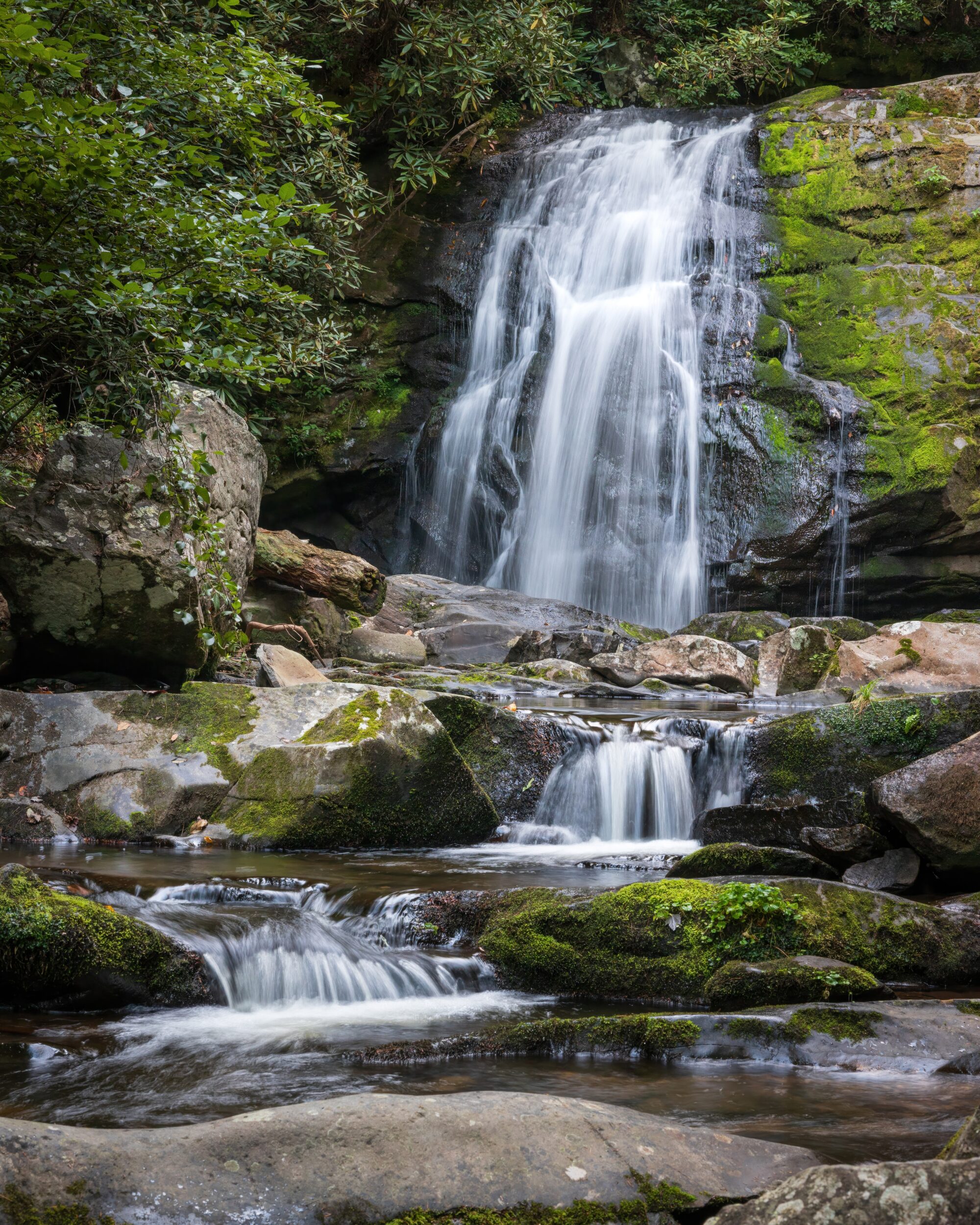 Meigs Falls with the water stepping down mossy ledges into stair-step cascades in the Great Smoky Mountains.