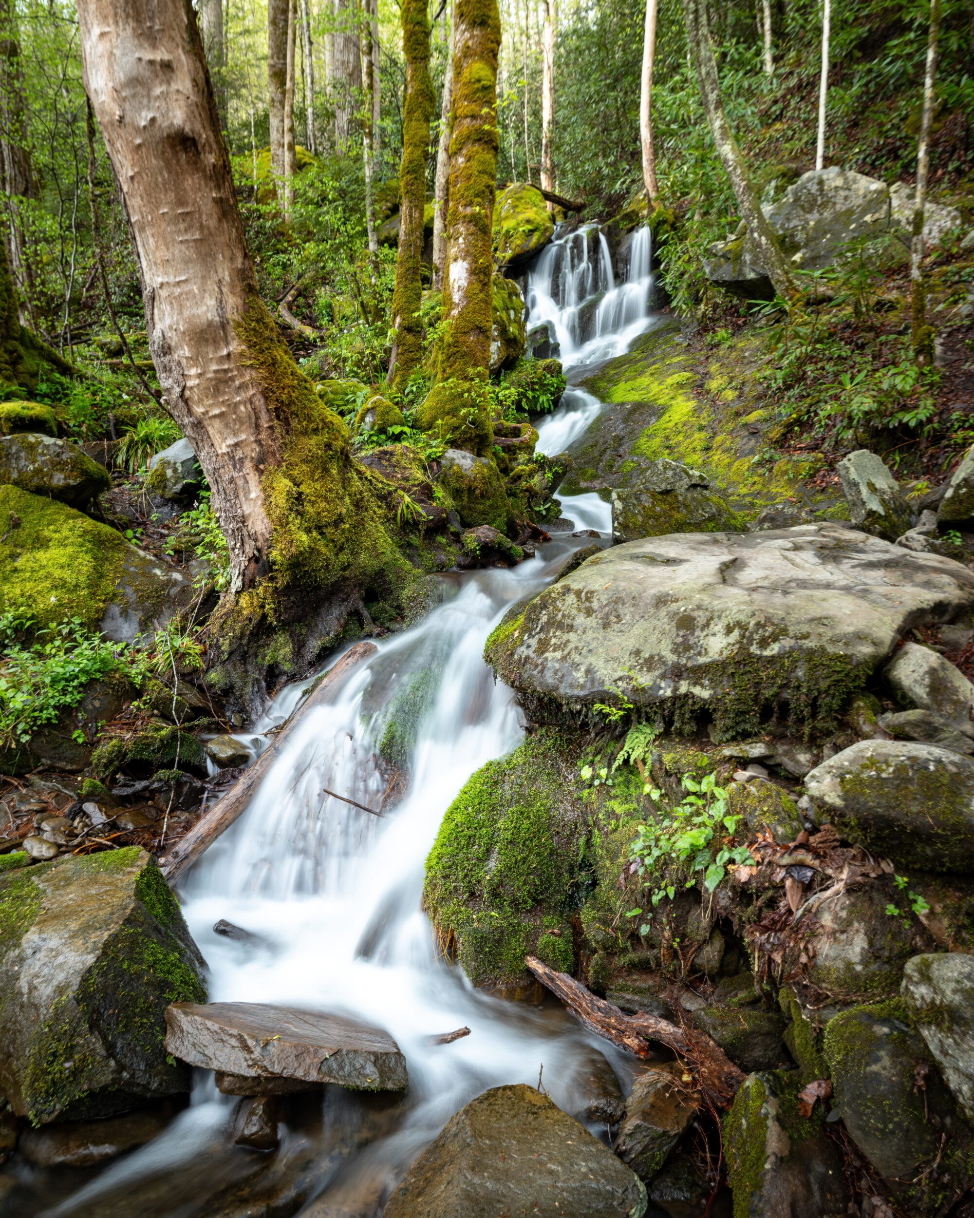 A small waterfall cascades down a rocky, moss-covered slope in a lush forest, the water blurred to silky white by a long exposure. Moss-draped boulders and tree trunks frame the stream on both sides.