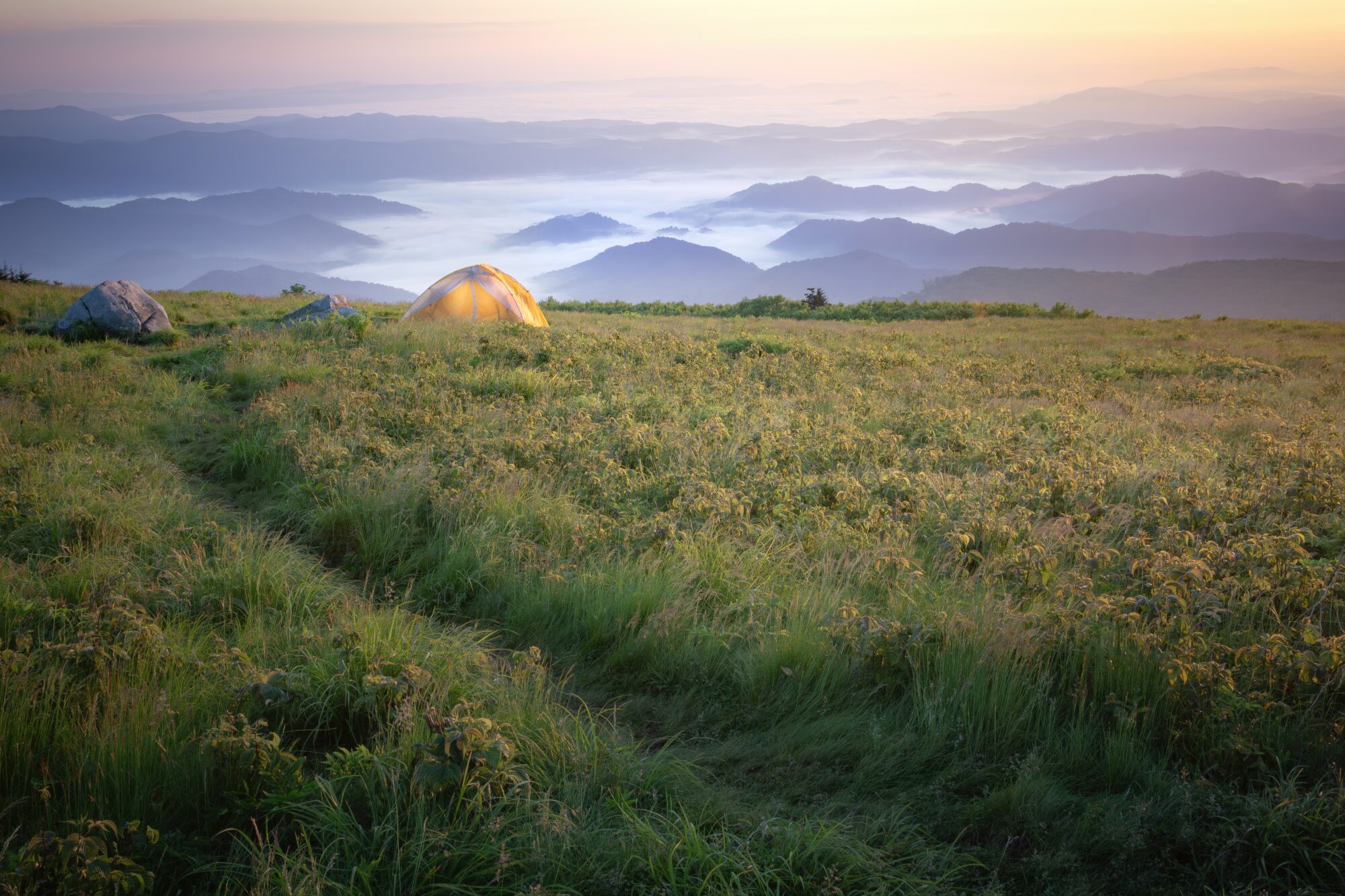 A small tent glowing on a grassy bald at dawn in the Roan Highlands, layered ridges and fog filling the valleys below.