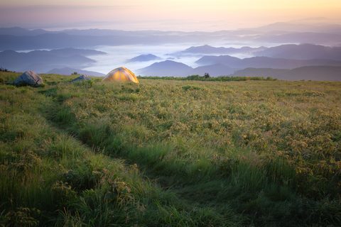 A small tent glowing on a grassy bald at dawn in the Roan Highlands, layered ridges and fog filling the valleys below.