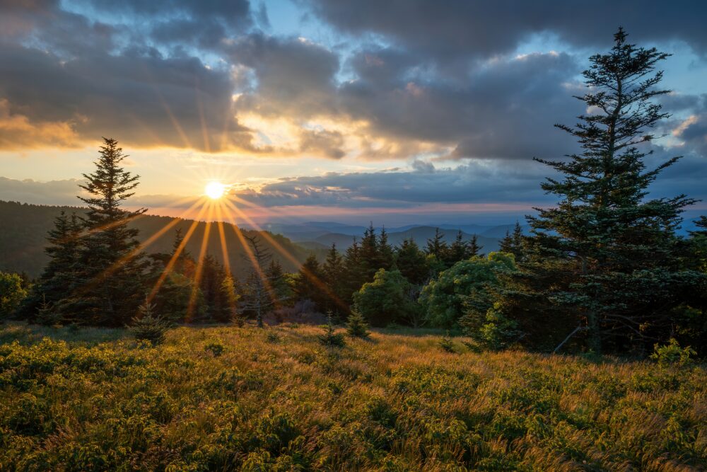 Sunset sunburst through evergreen trees over the grassy meadows and distant ridges of Roan Mountain, Tennessee.