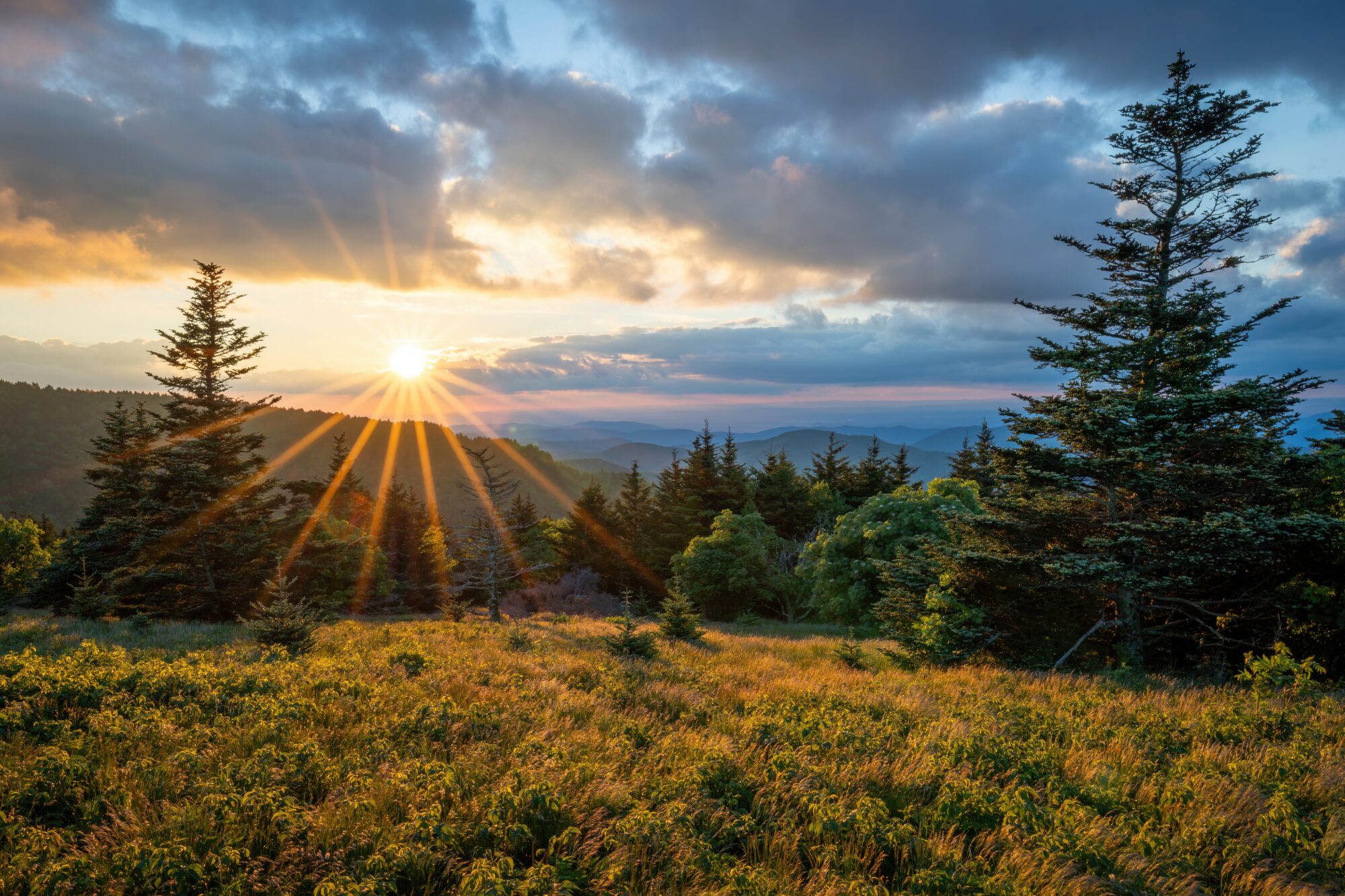 Sunset sunburst through evergreen trees over the grassy meadows and distant ridges of Roan Mountain, Tennessee.