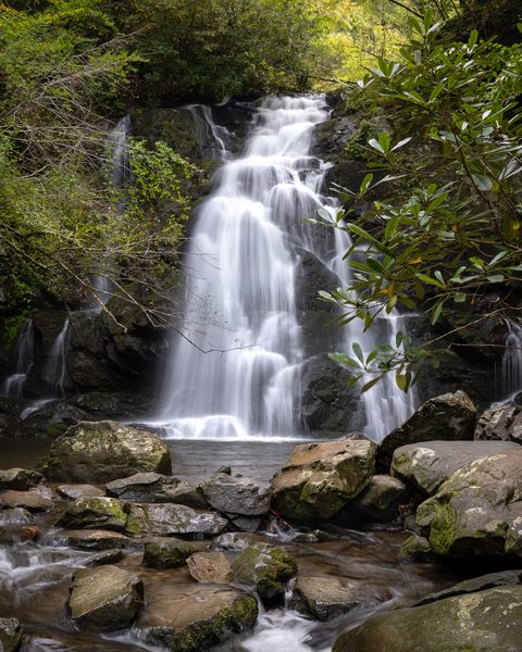 Spruce Flats Falls in spring, framed by green rhododendron, water flowing over dark rock near Tremont, Great Smoky Mountains.