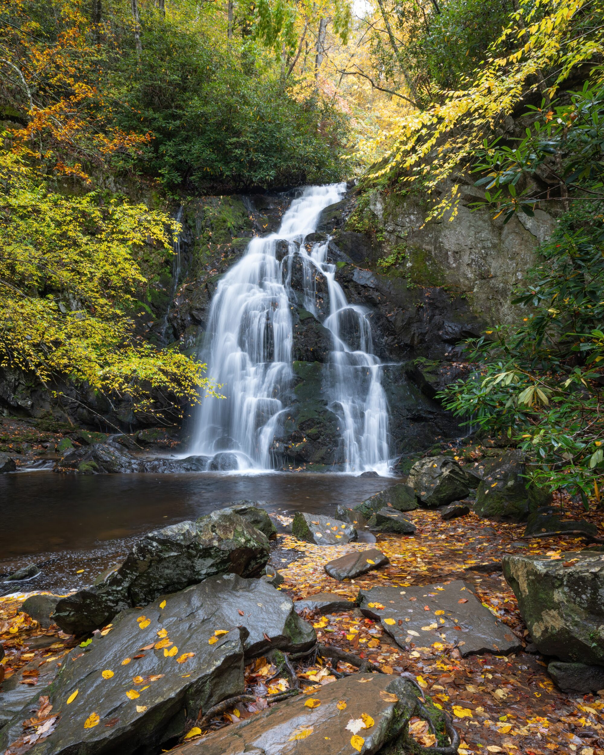 Spruce Flats Falls cascading over rock ledges in autumn, fallen leaves on the rocks below, near Tremont in the Great Smoky Mountains.