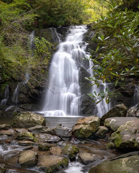 Spruce Flats Falls in late summer, framed by green rhododendron, water flowing over dark rock near Tremont, Great Smoky Mountains.
